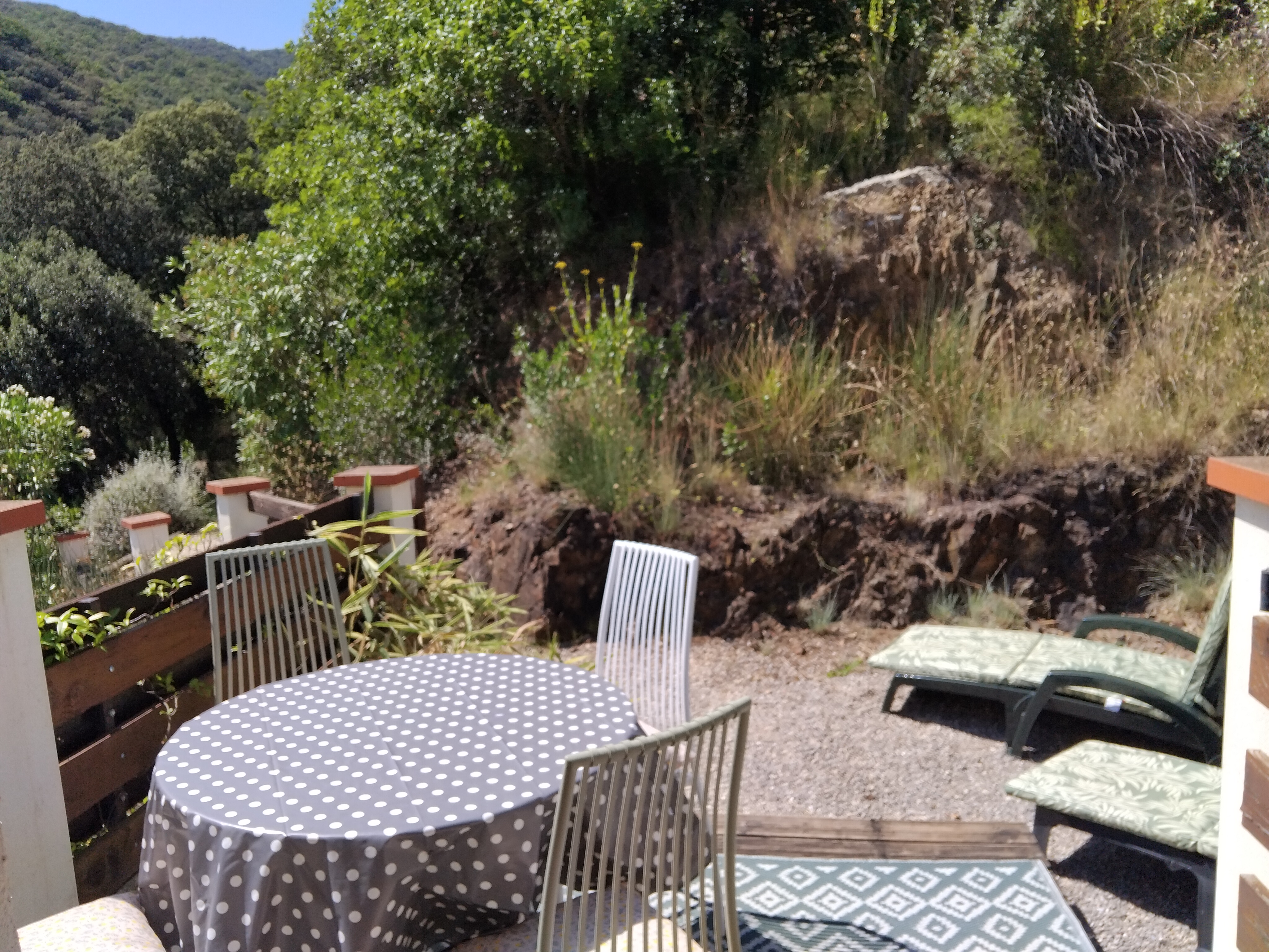 T3 terrasse arriere 5