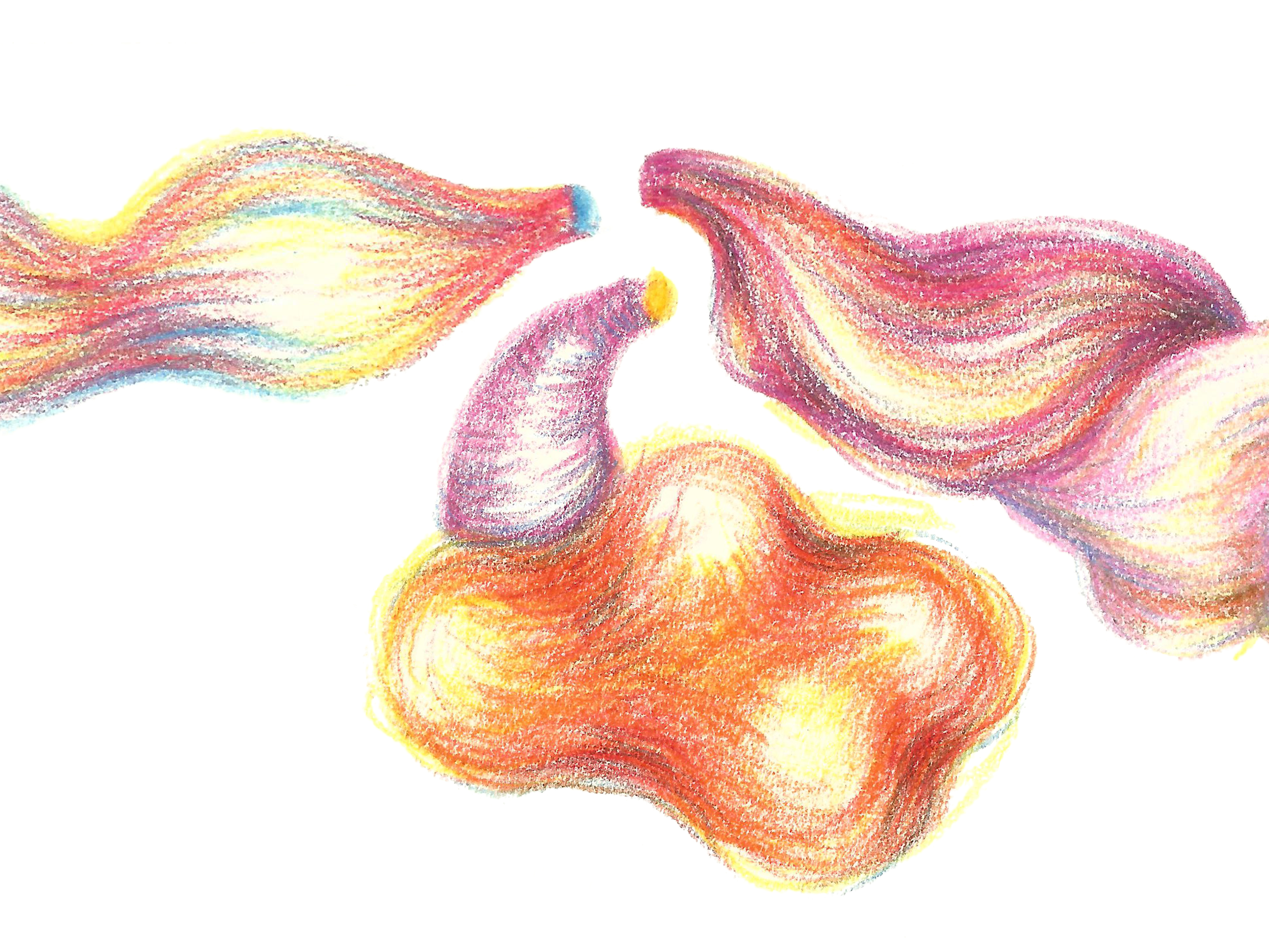 Version dessin