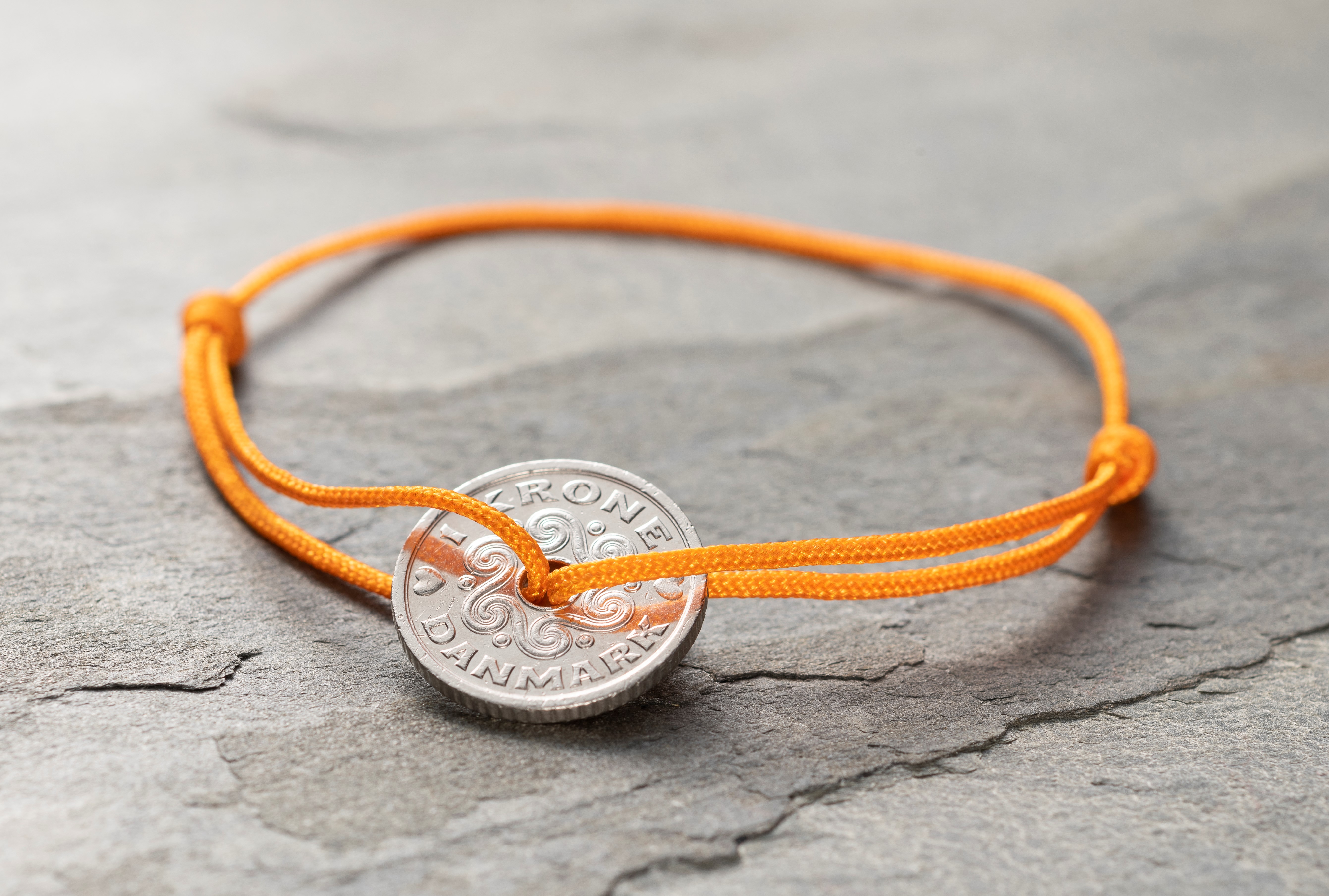The danish krone 1009 2 
