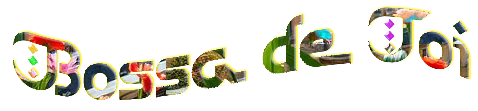 Bossa-de-toi-new-100