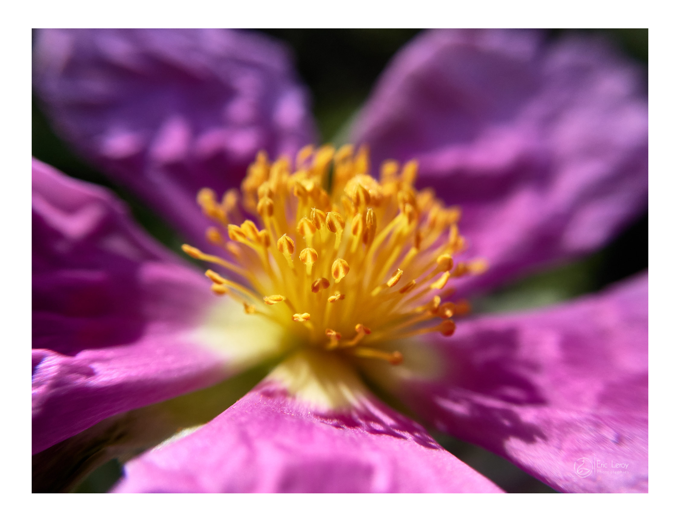 P6250105