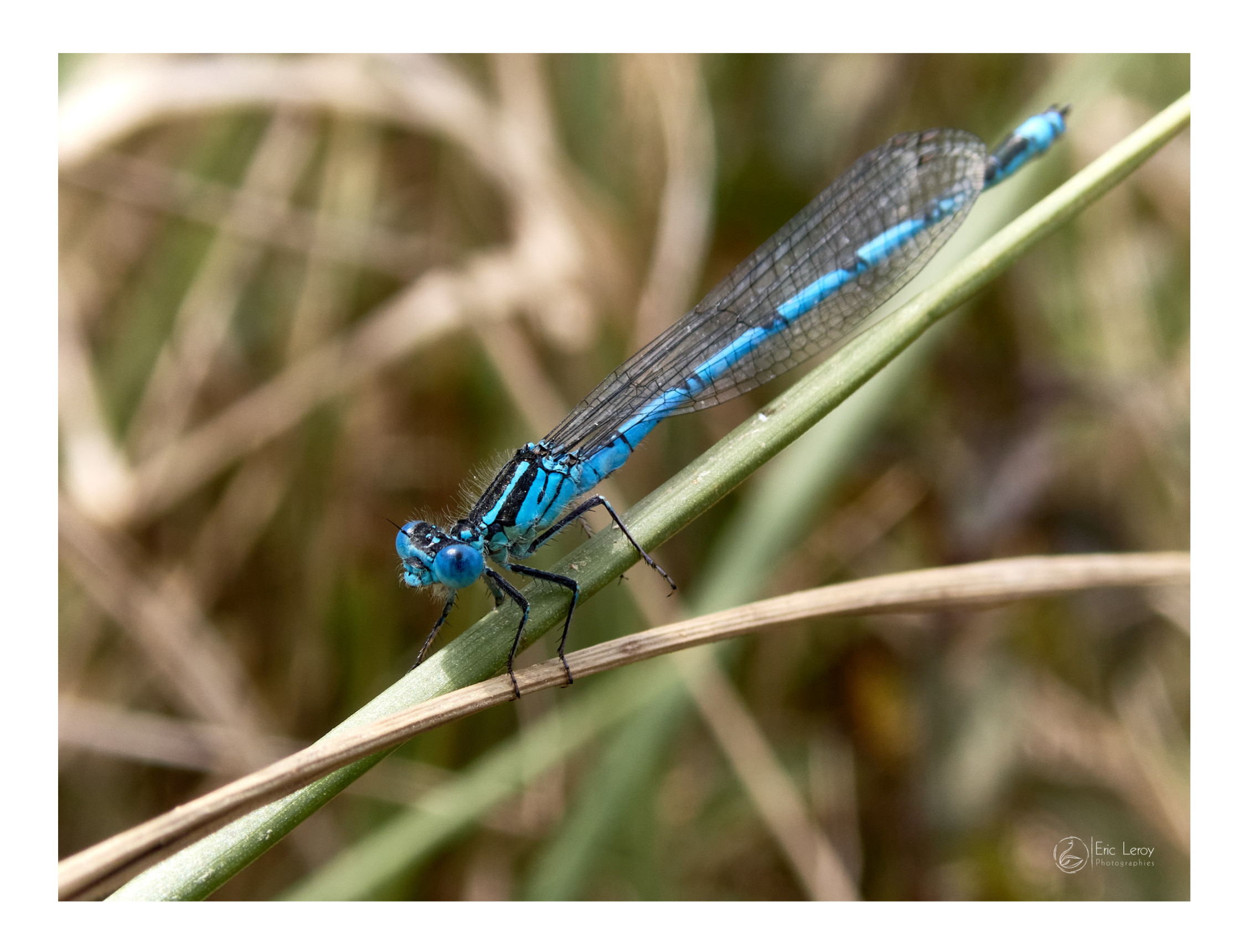P7140030