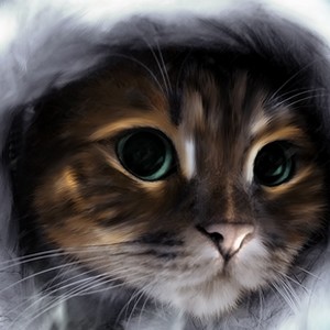 Chat2