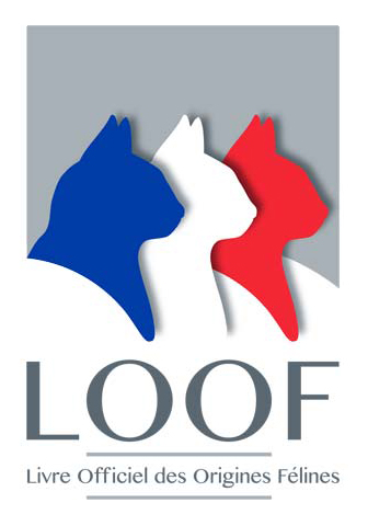LogoLOOF2014