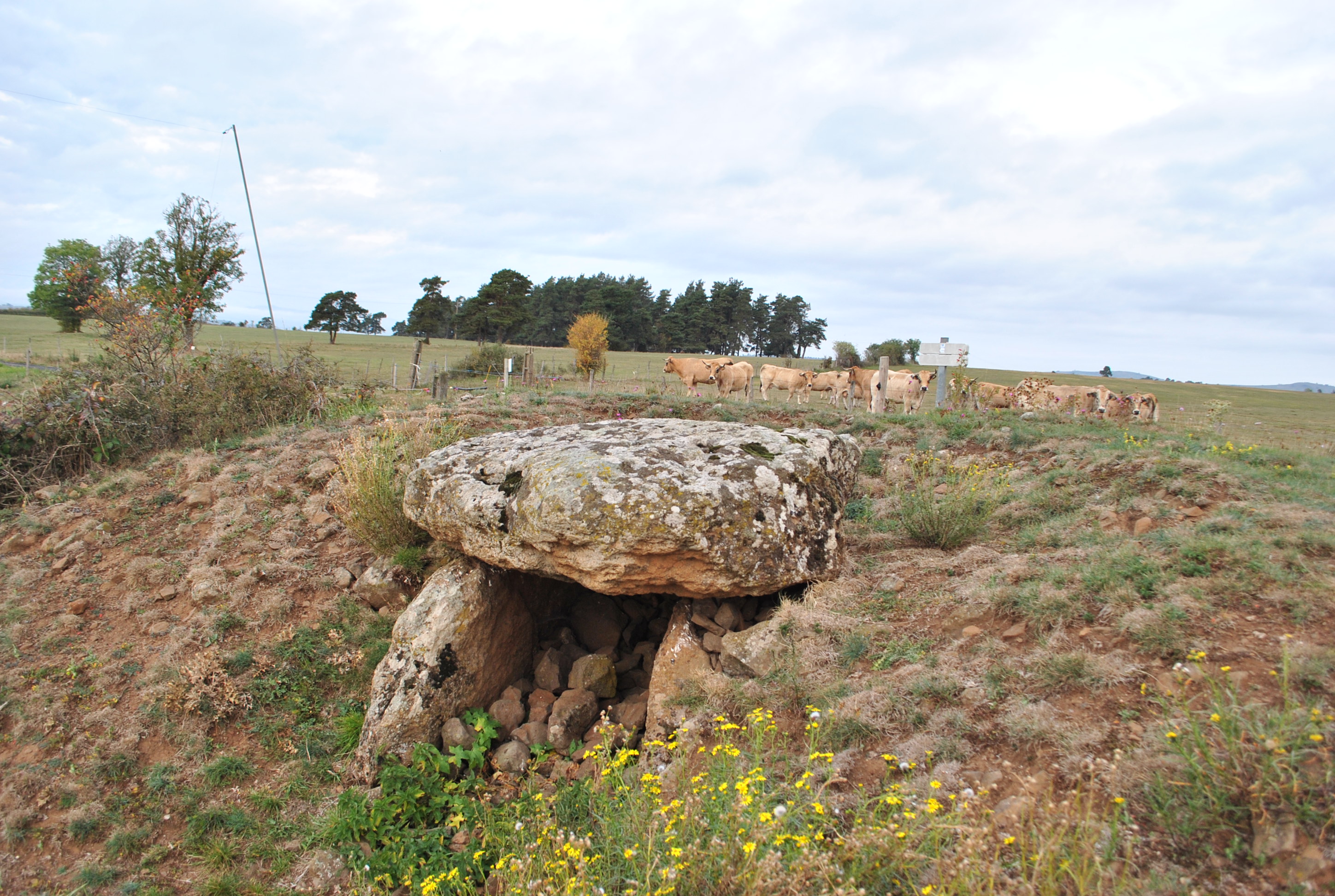 Dolmen de mons 3