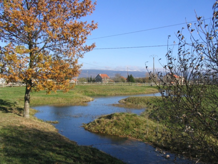 Mairie de Saint-Georges dans le Cantal : LES MARES DE SAINT-MICHEL & GRISOLS.