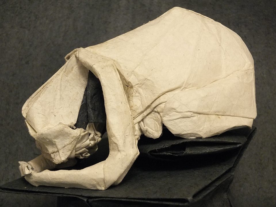 Prostree face a la mort 5