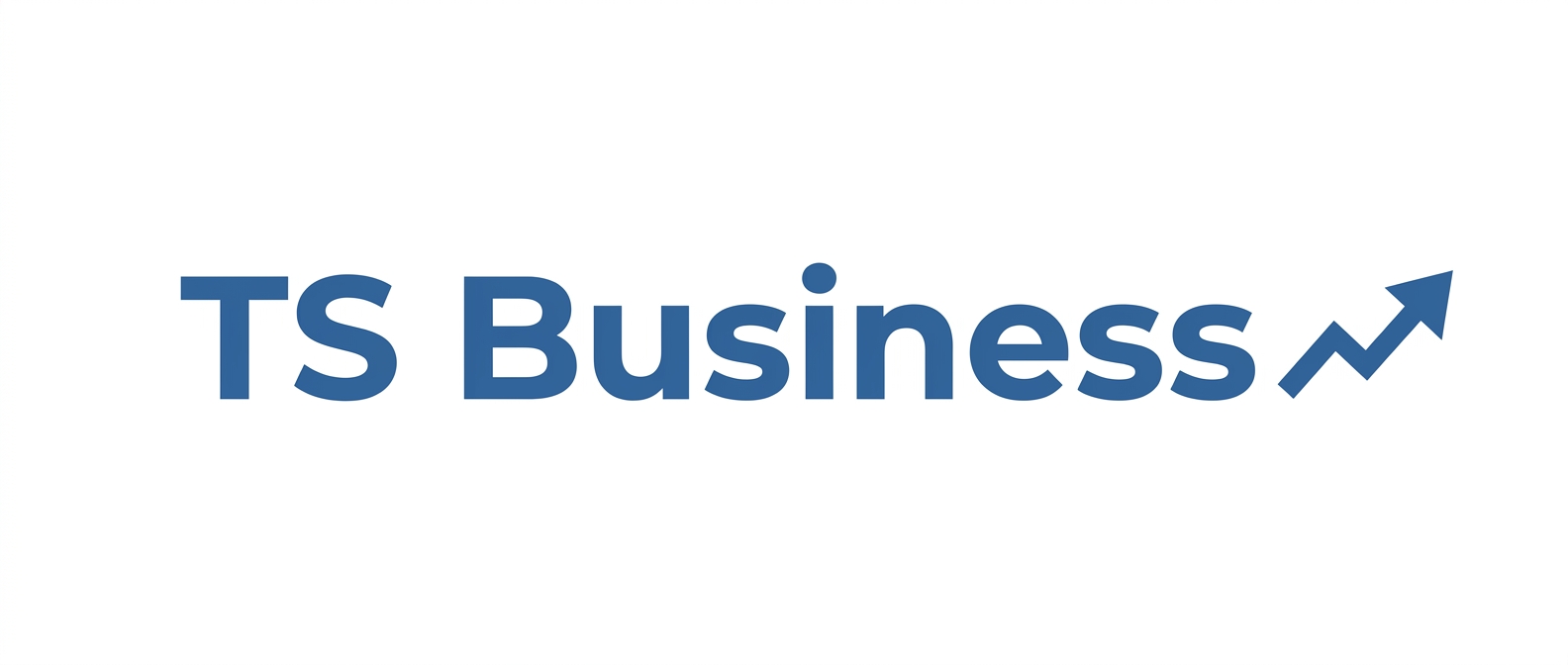 Logo TS Business