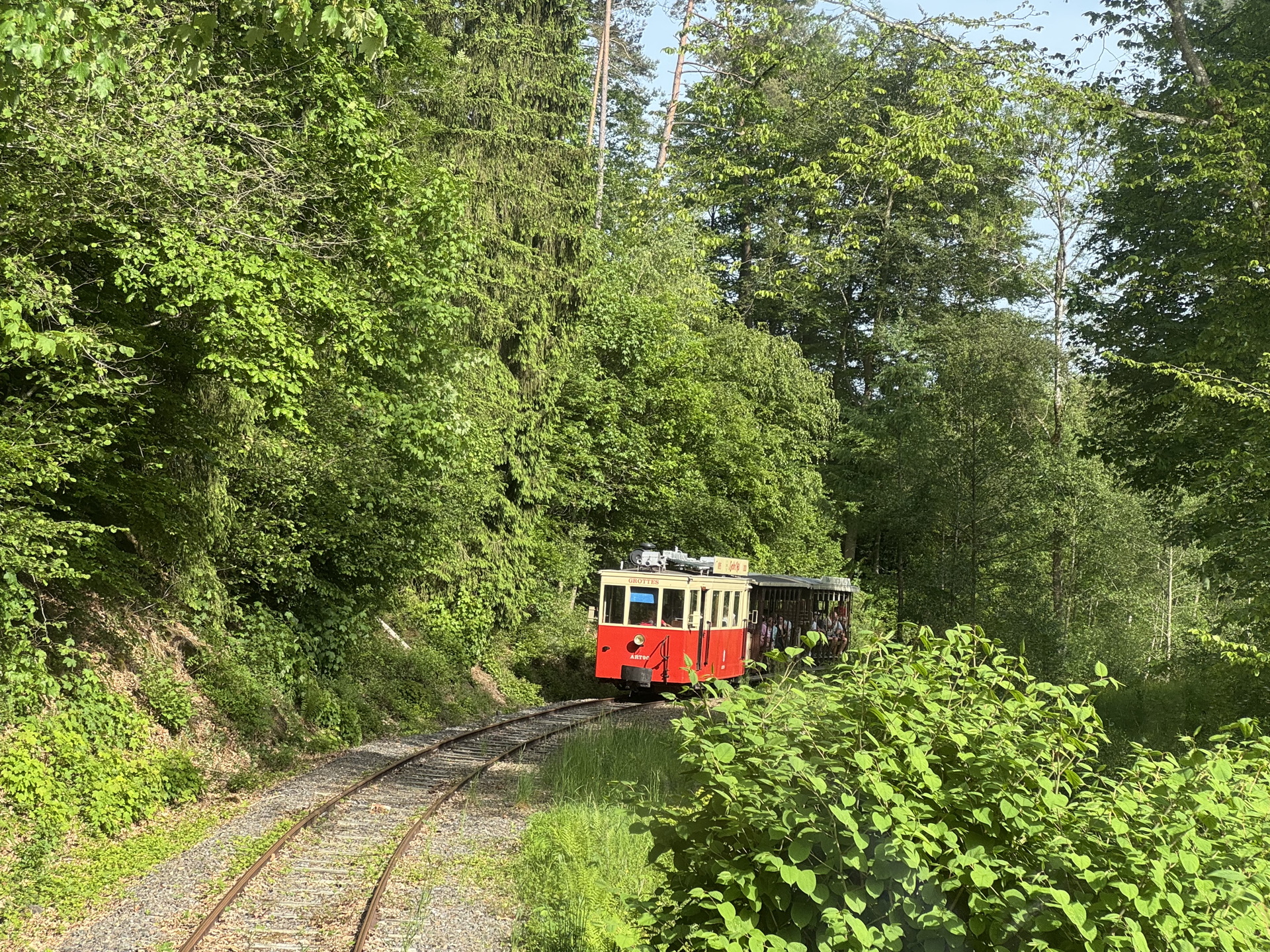 IMG 4749