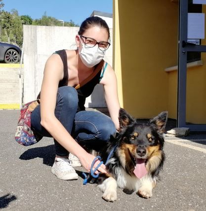 20 05 20 tyson bordercollie adopted