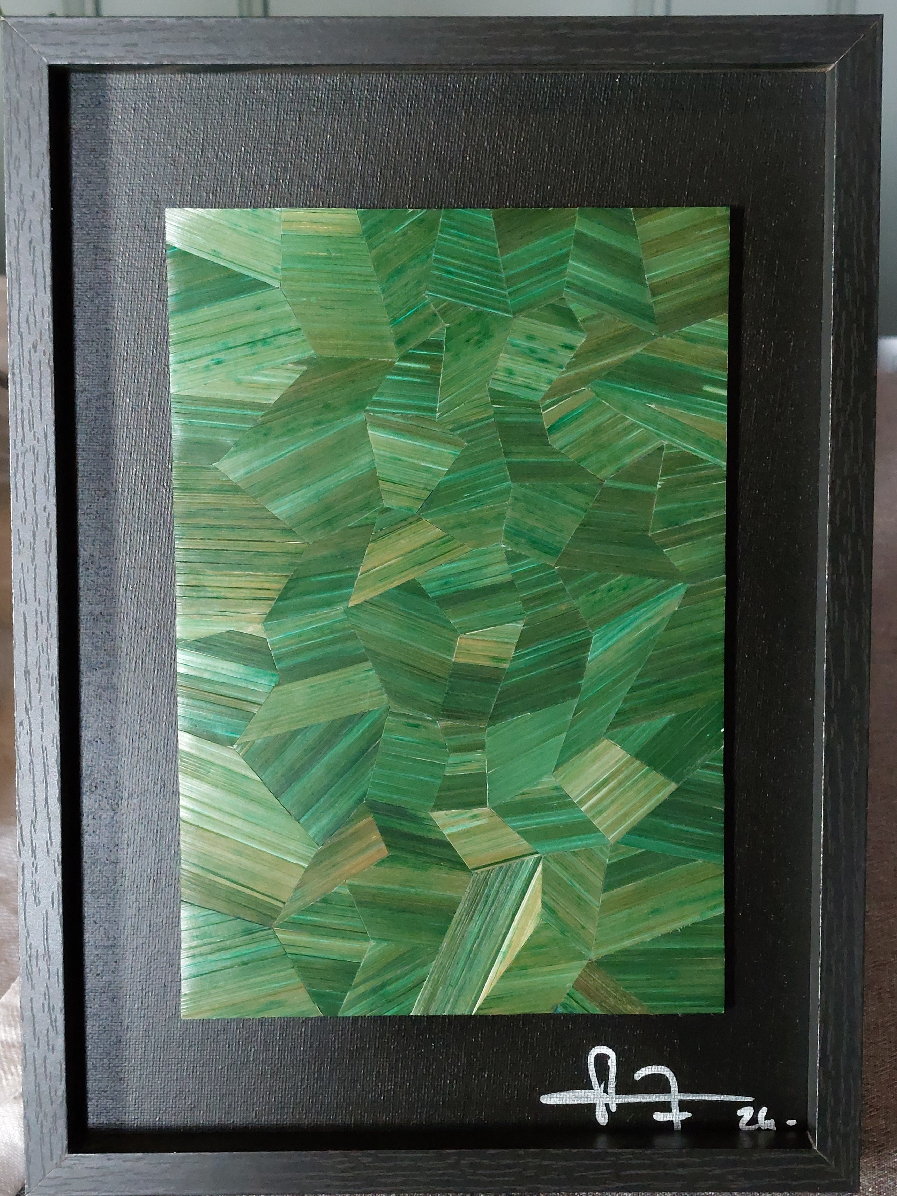 23 canope e 20x30cm