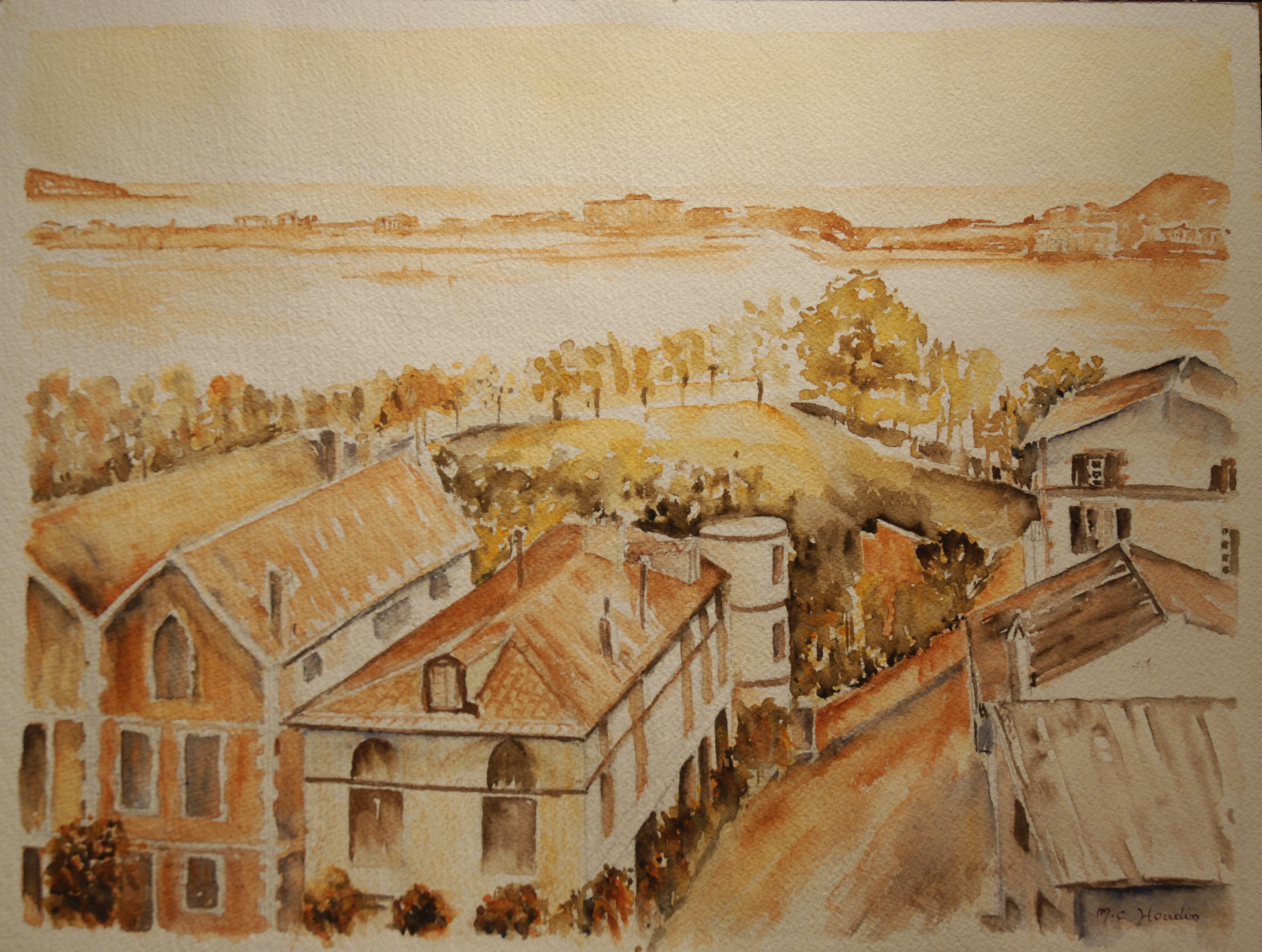 Buztinenea marie claude houdin