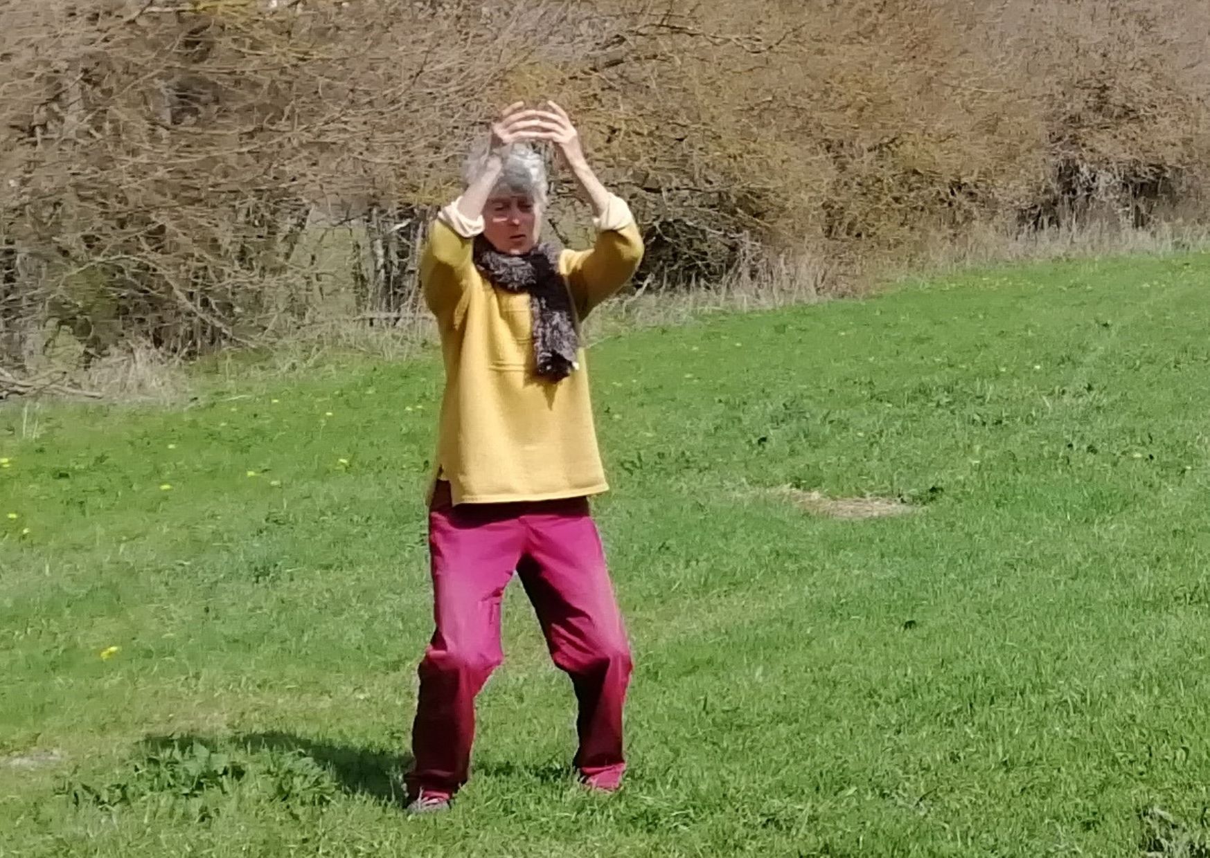 Tai-Chi-recoupee-3