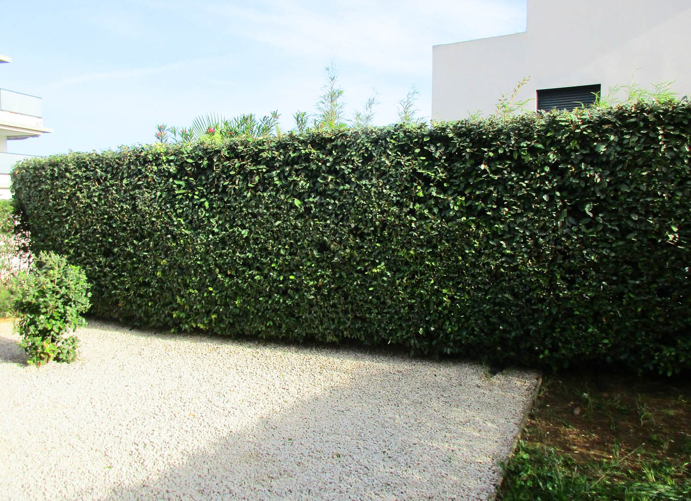 Entretien de jardin: pourquoi un planning d'entretien est nécessaire?