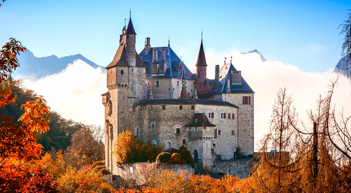 Rawsavoyard