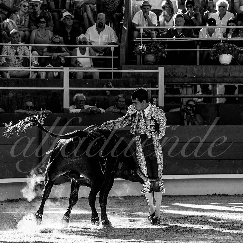 20220709 tarascon 015