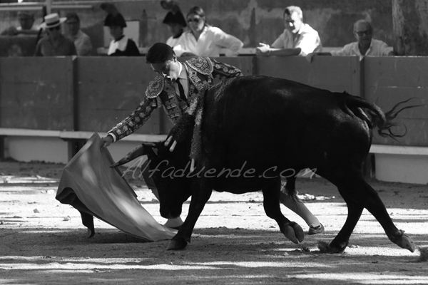 Tarascon 20180708 10 