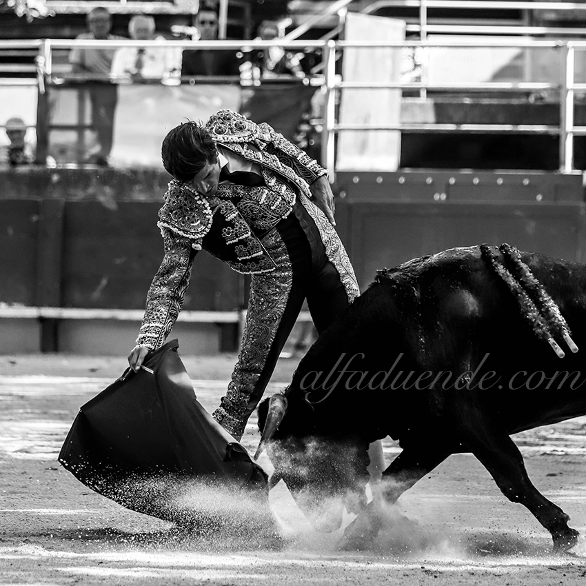 Img 9884tarascon 20190707 07 copie