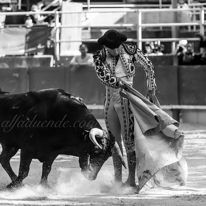 Img 9850tarascon 20190707 09 copie