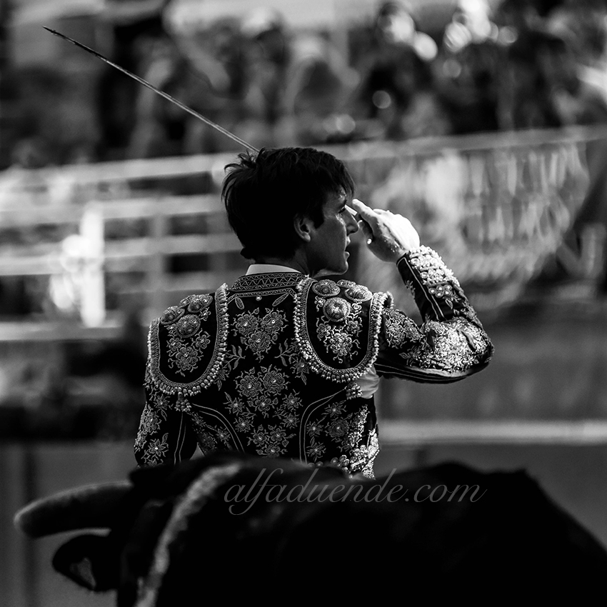 Img 9723tarascon 20190707 05 copie