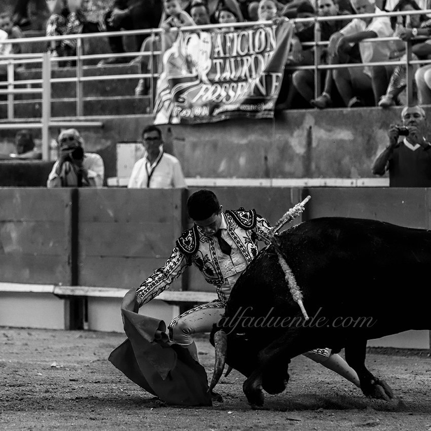 Img 0604tarascon 20190707 11 copie