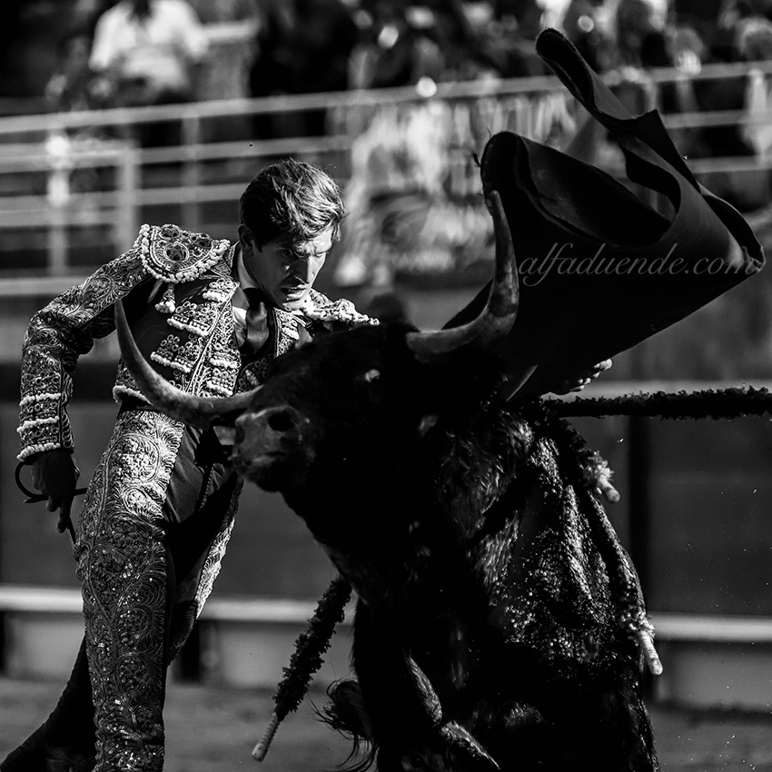 Img 0464tarascon 20190707 08 copie