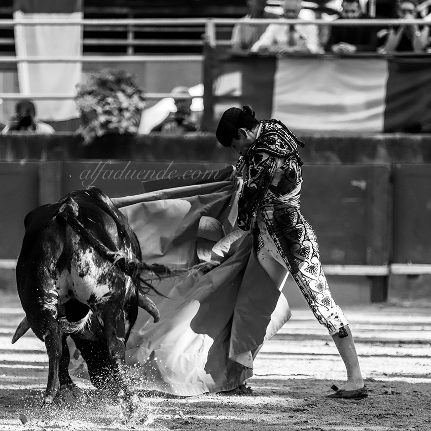 Img 0389tarascon 20190707 10 copie