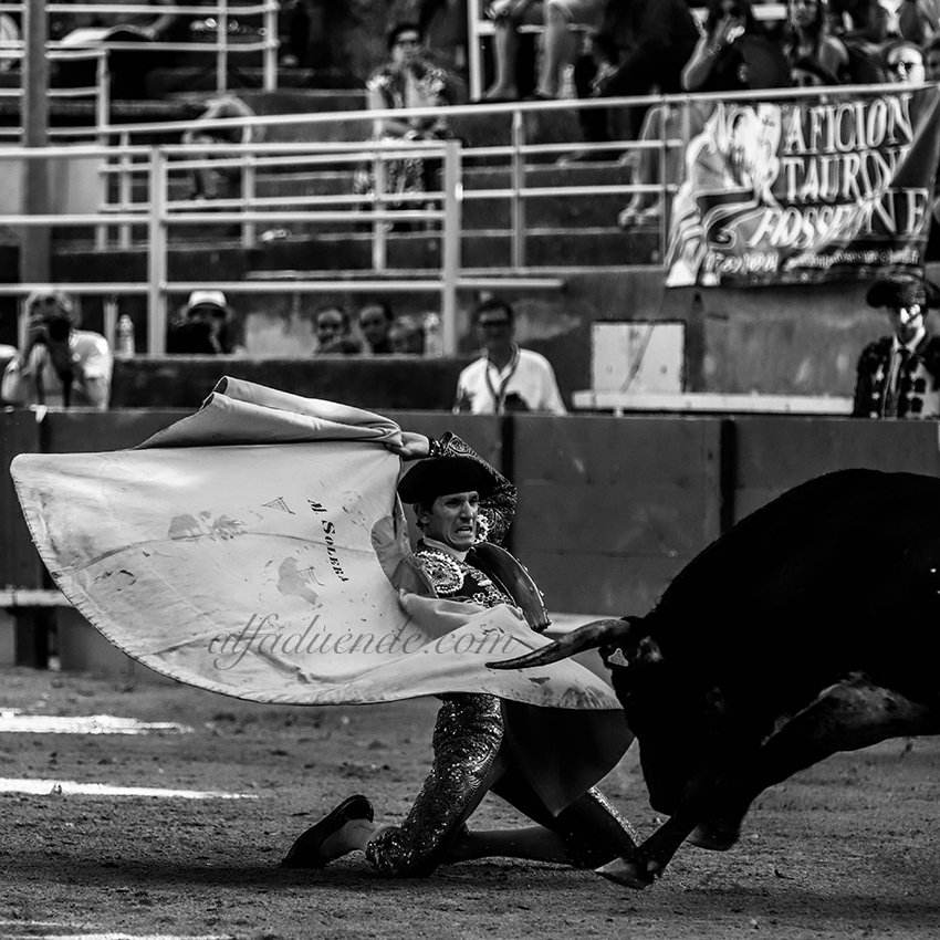 Img 0367tarascon 20190707 06 copie