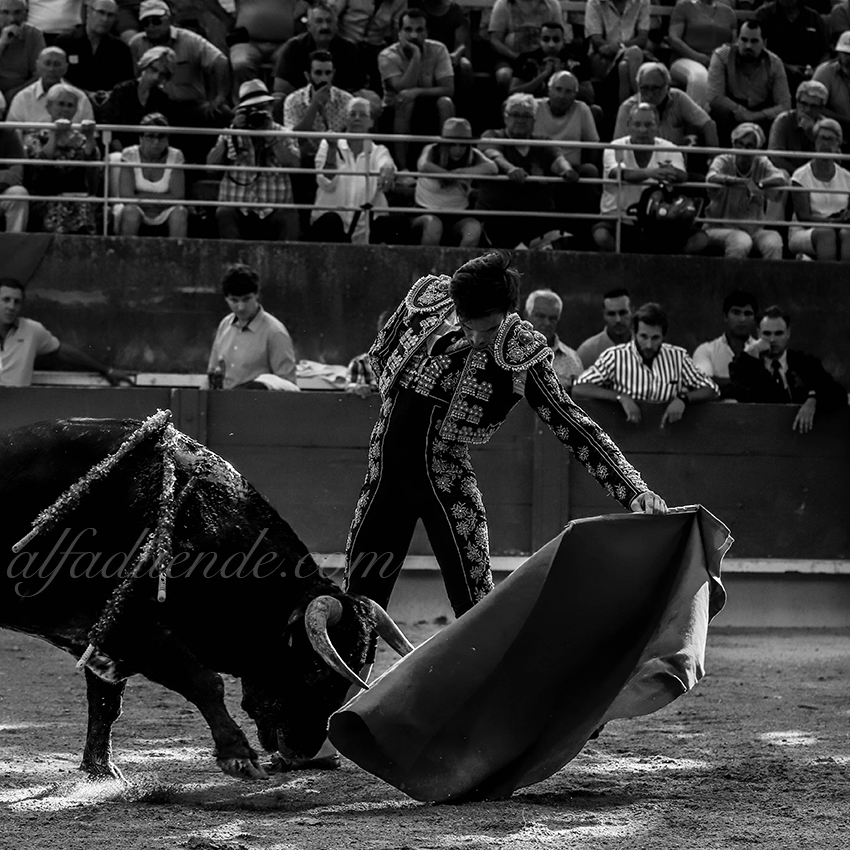 Img 0266tarascon 20190707 04 copie