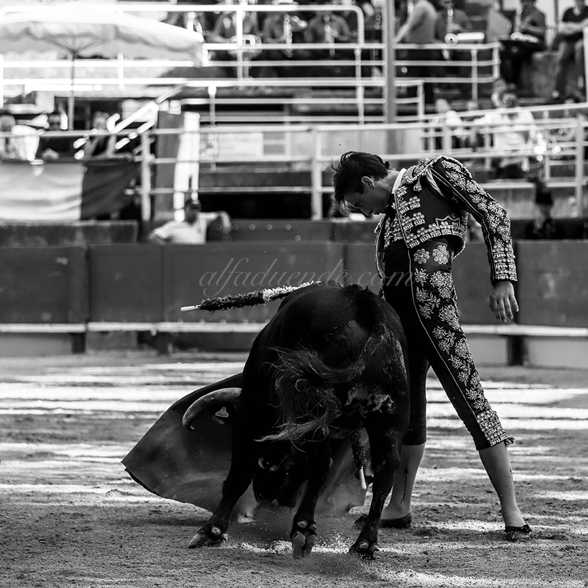 Img 0248tarascon 20190707 03 copie