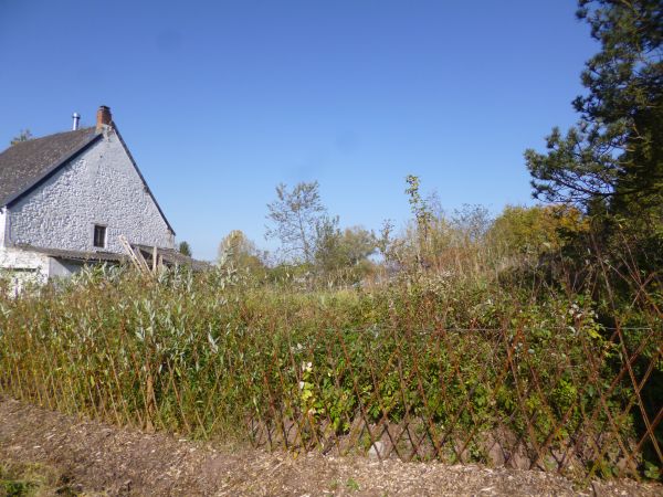 P1050992