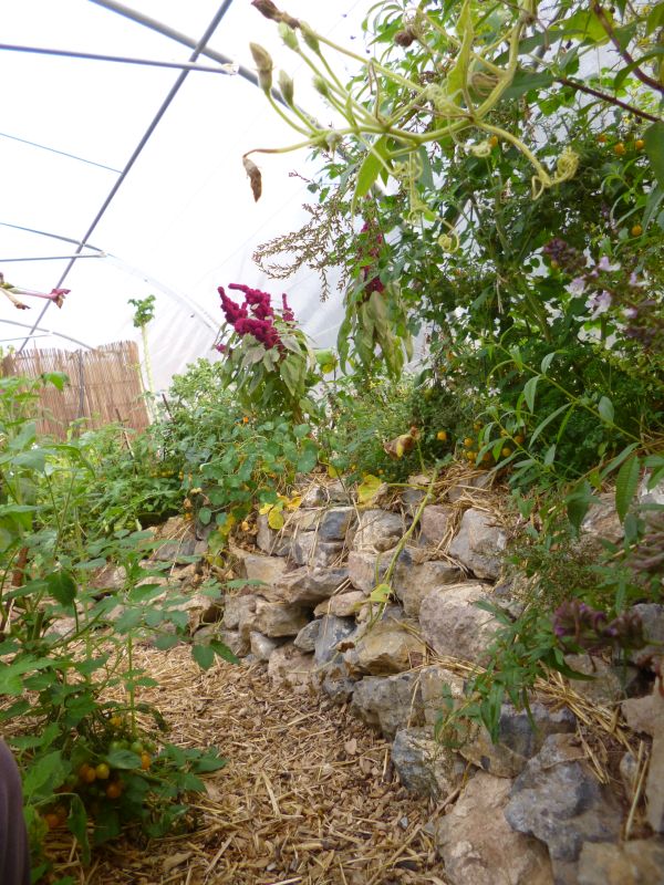 P1050999