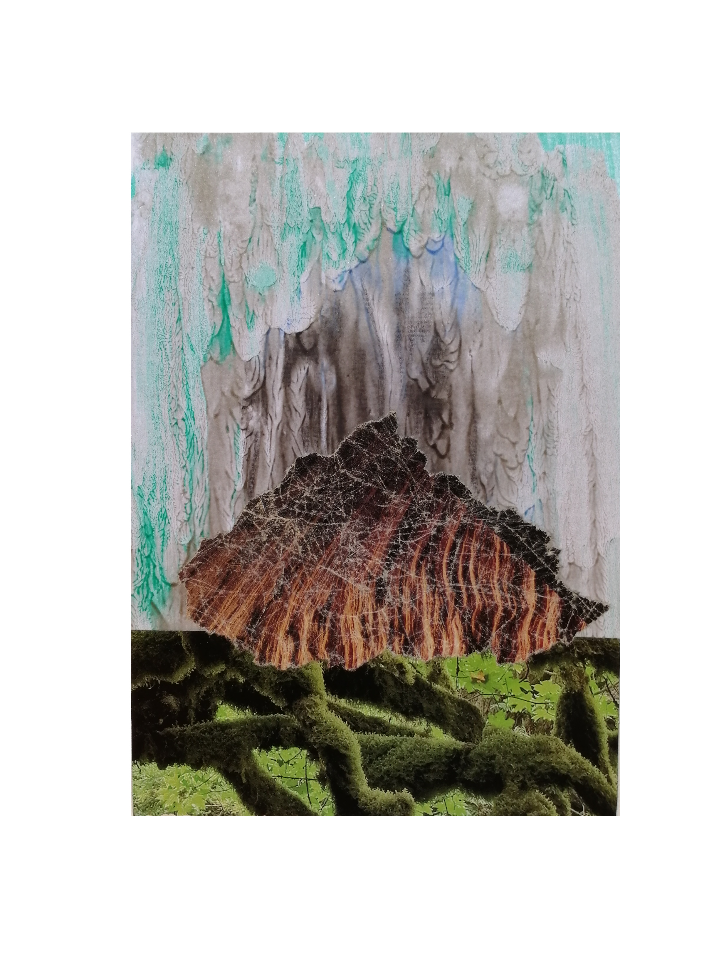 Paysage 14
