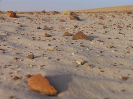 Sahara mauritanie 2cv dunes gps de sert cyril et sylvie poteries
