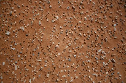 Sahara mauritanie 2cv dunes gps de sert cyril et sylvie coquillages