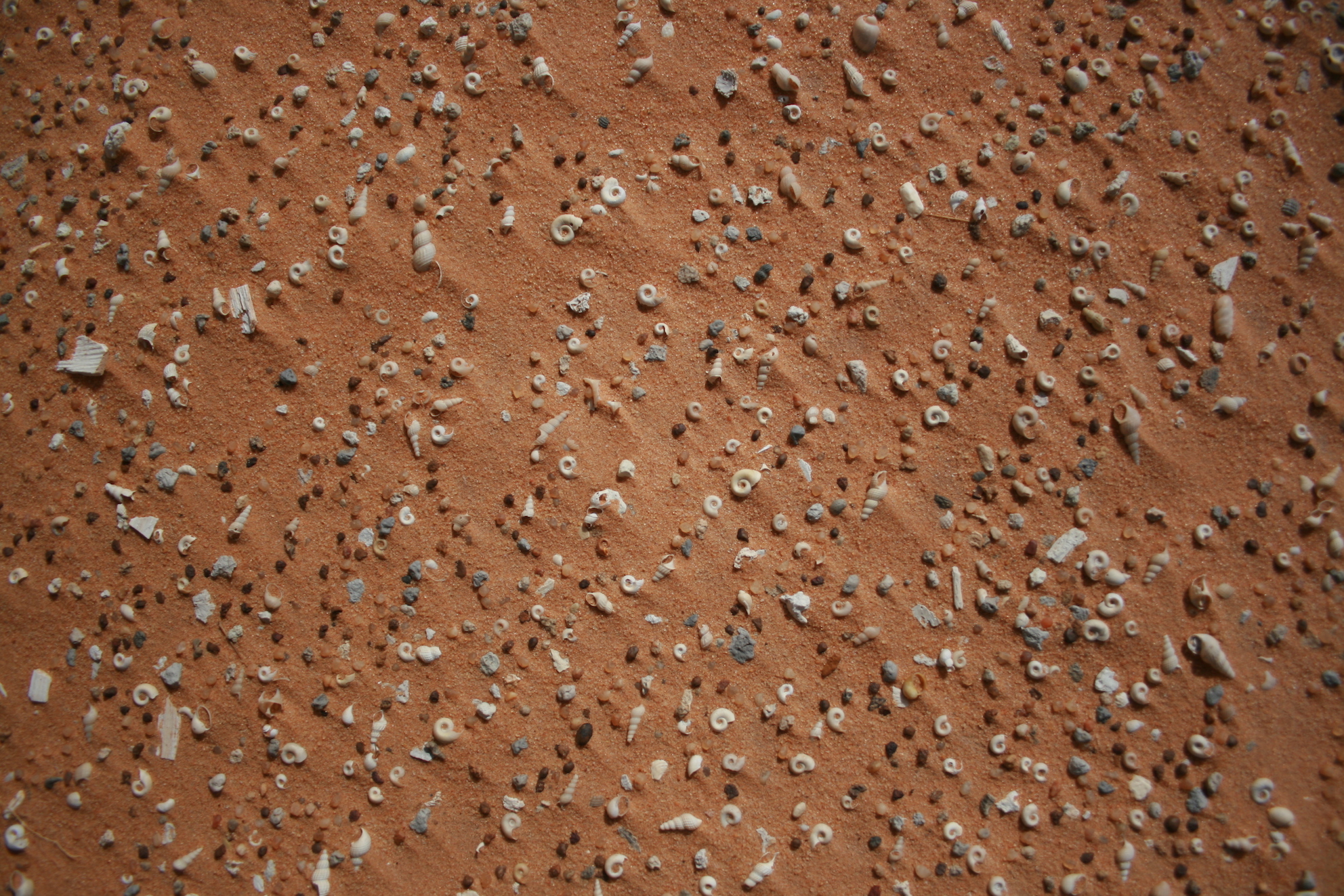 Sahara mauritanie 2cv dunes gps de sert cyril et sylvie coquillages