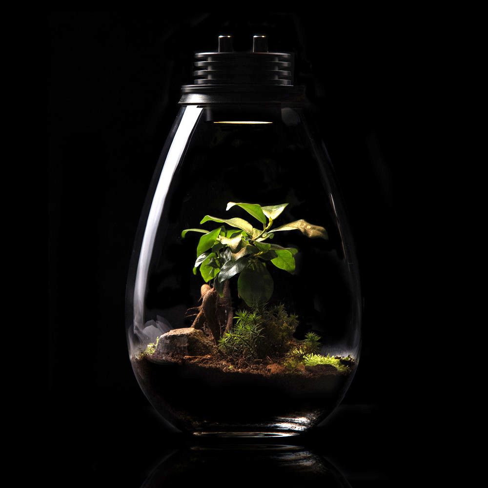 Lampe imataki 02