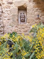 436838674 462592082785067 4541459290379466586 n