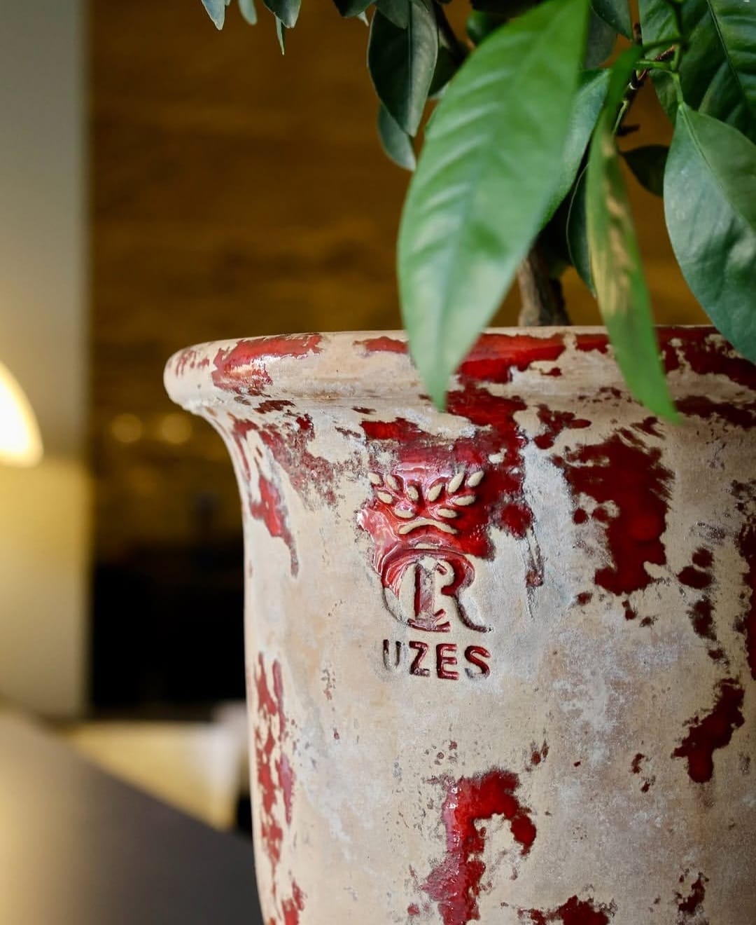 WhatsApp-Image-2026-04-13-at-09-50-48