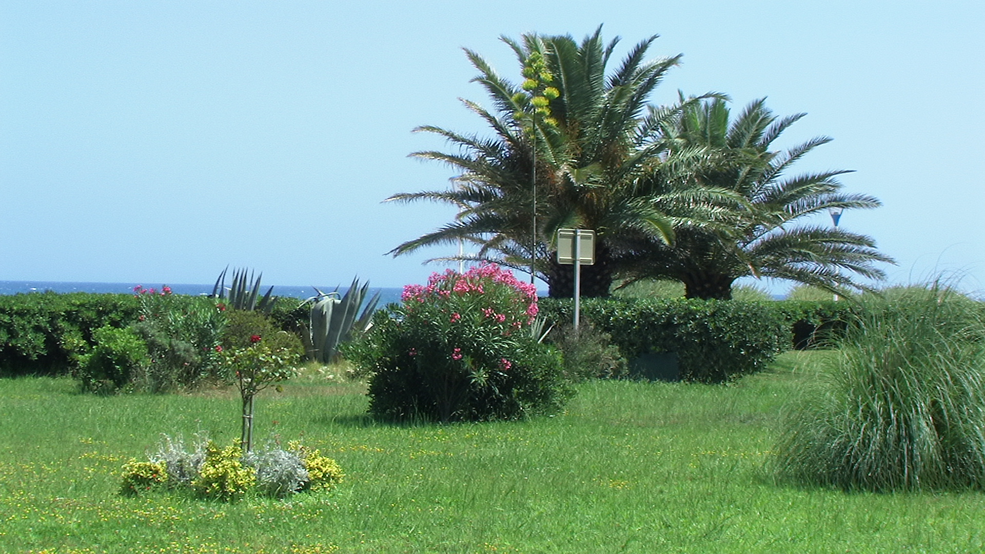 Les jardins de la residence