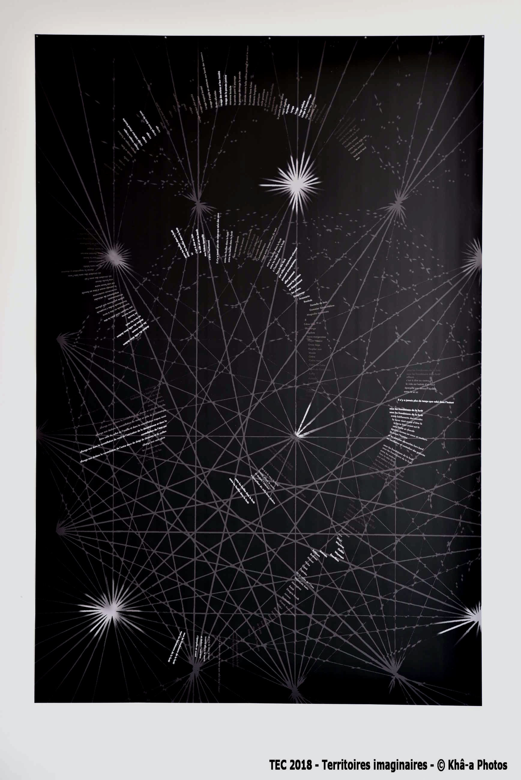 15 dsc 3291 copie copie