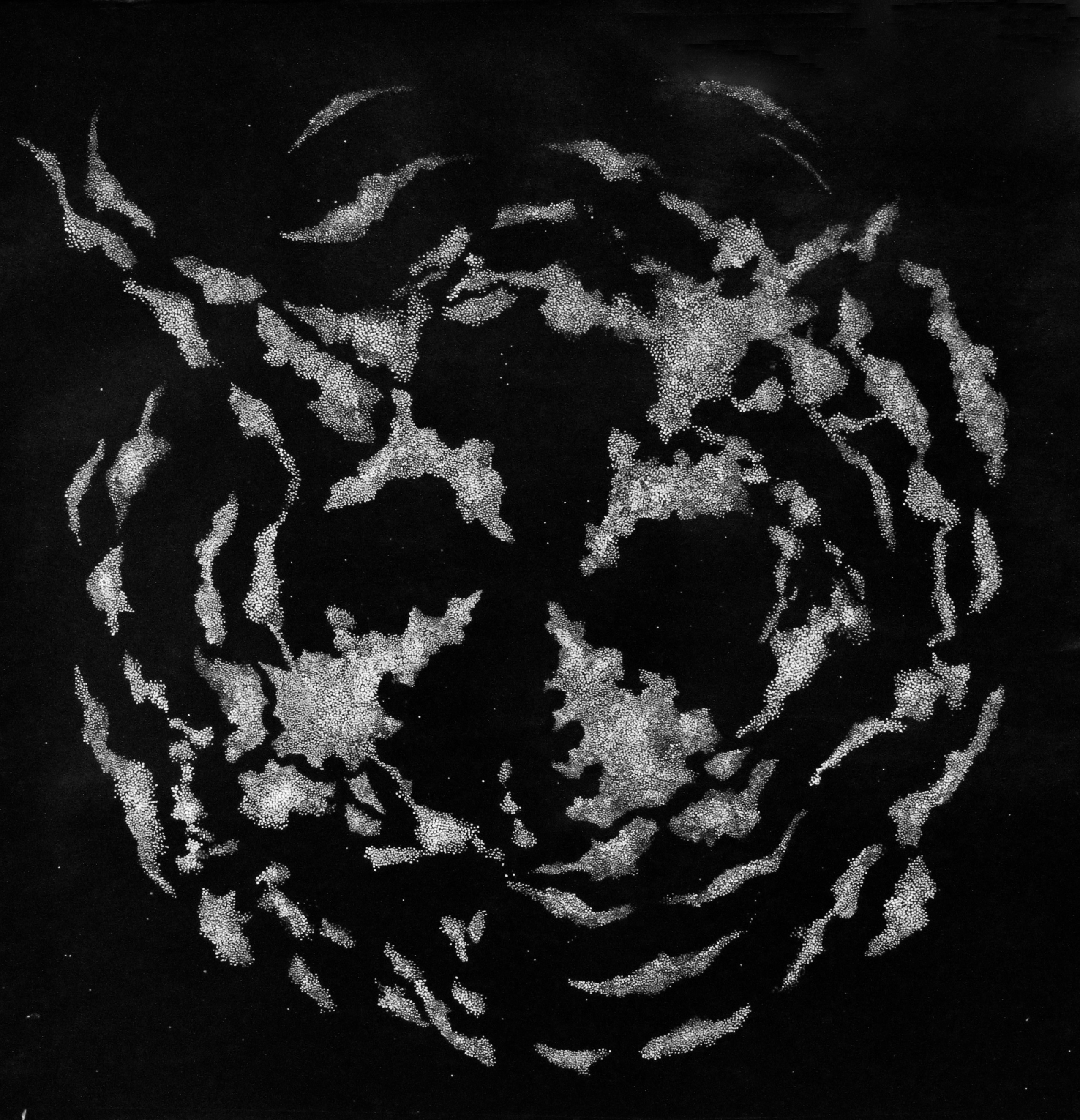 11 regard galaxie sourit photoshopped