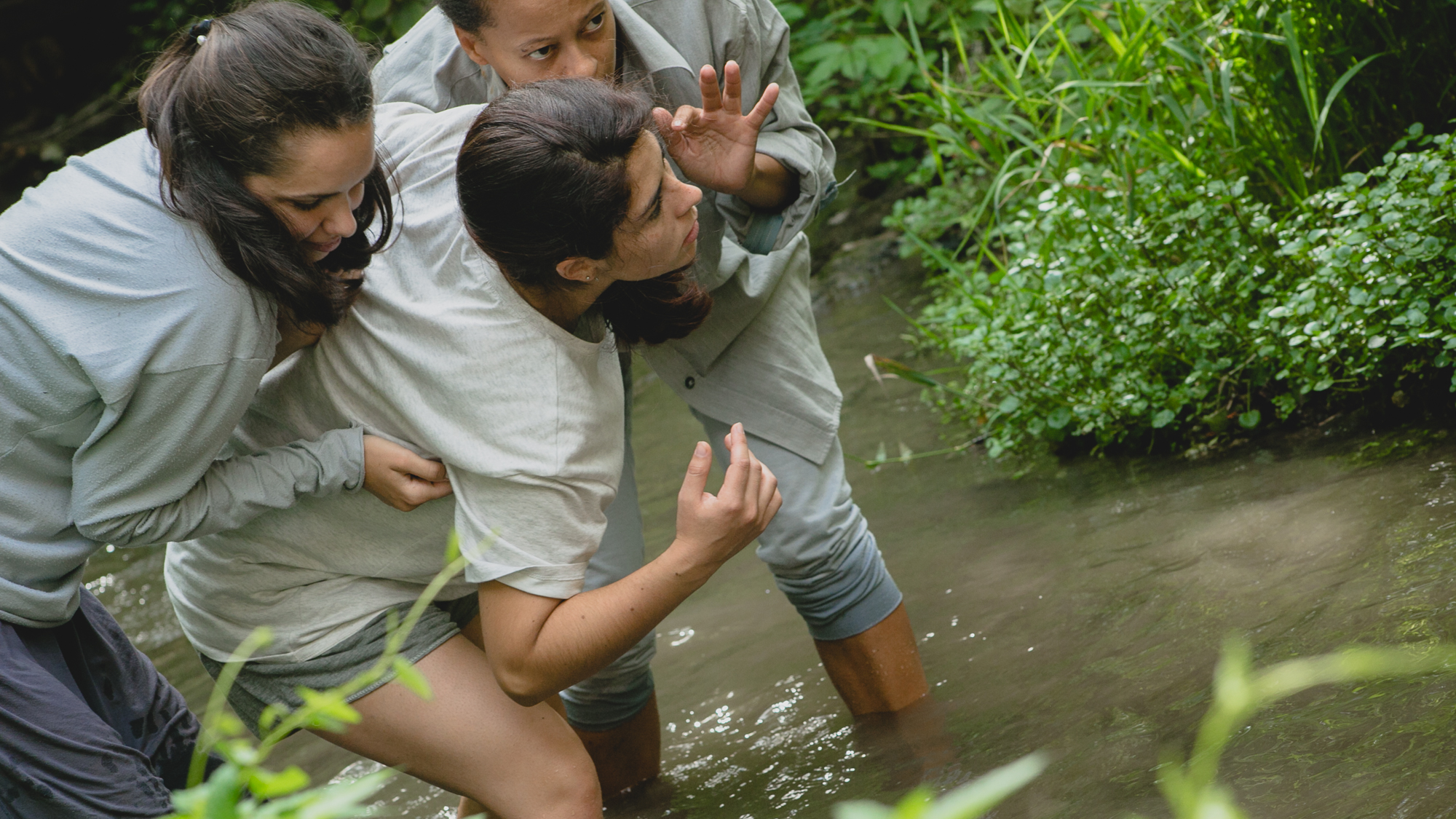 Img 2914 50310378691 o