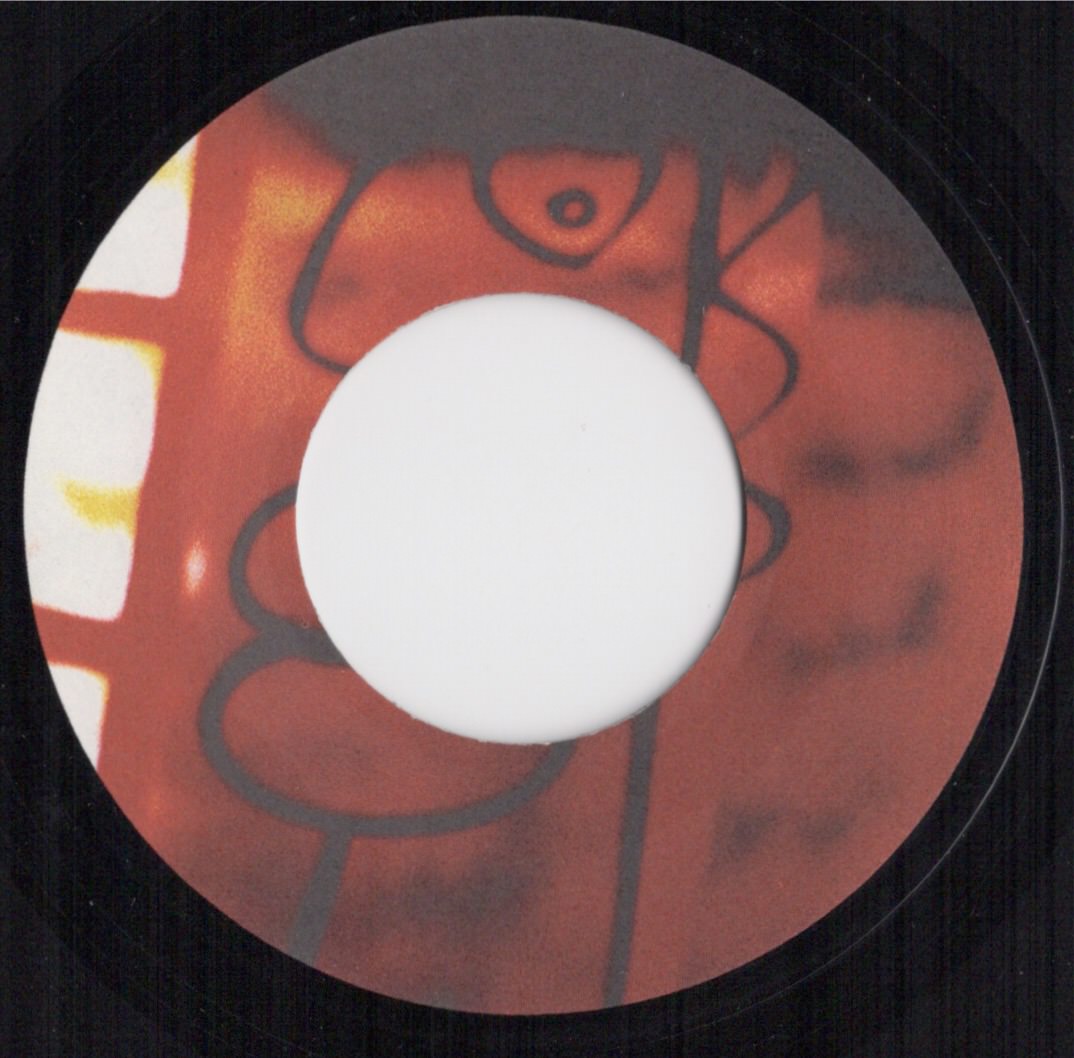 The fly fr 868 884 7 b 