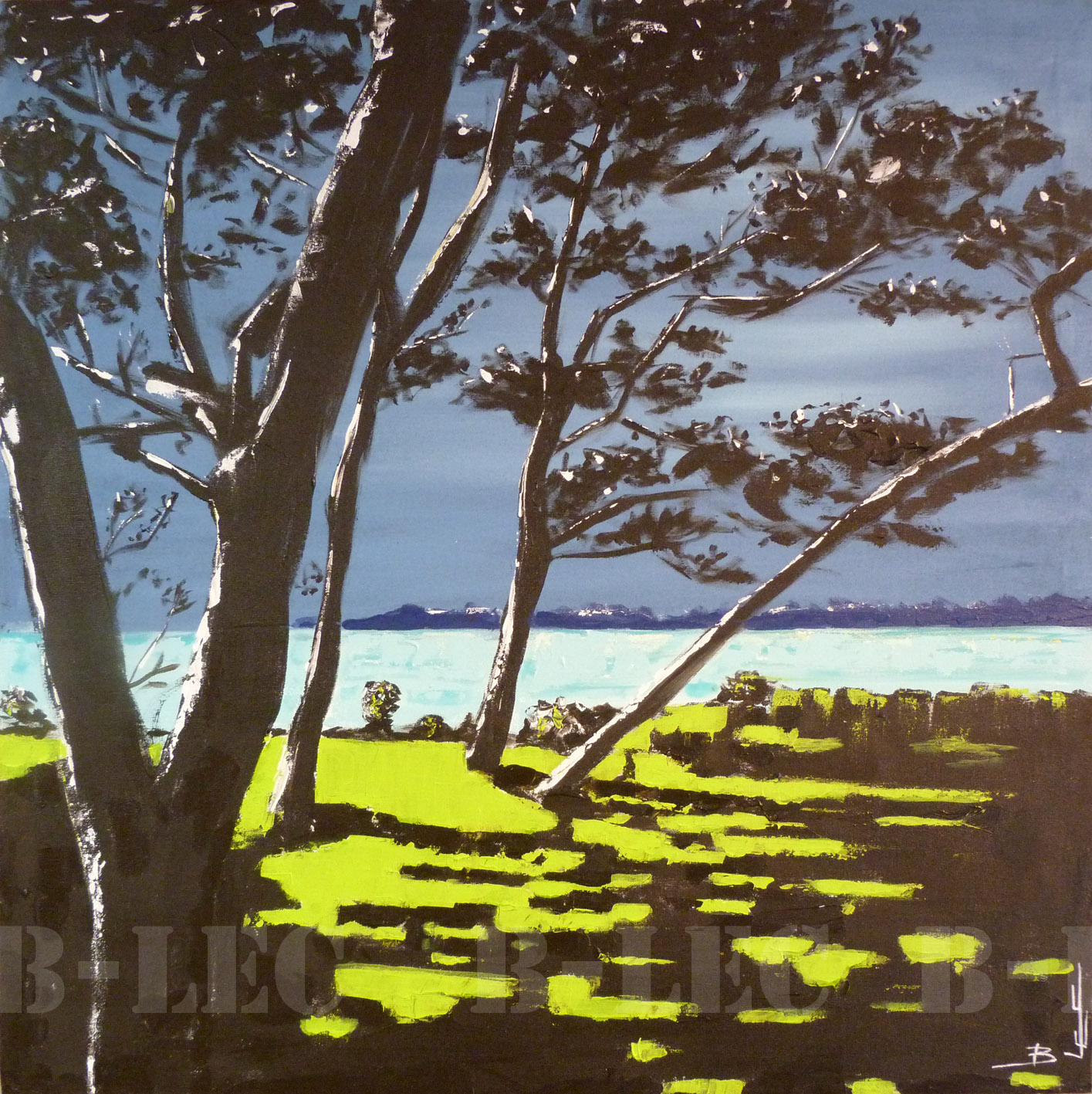 20042 80x80cm