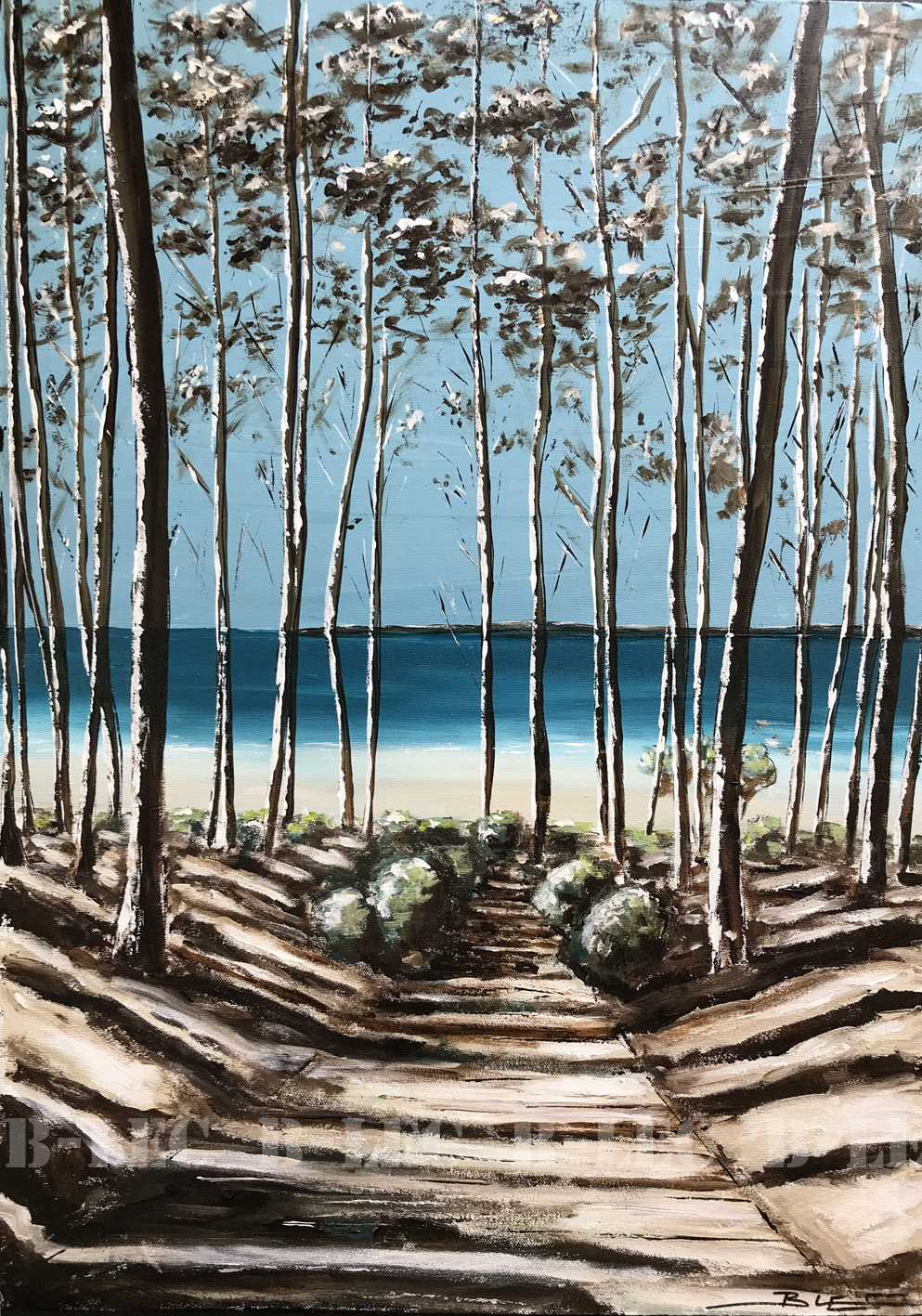 21043 50x70cm
