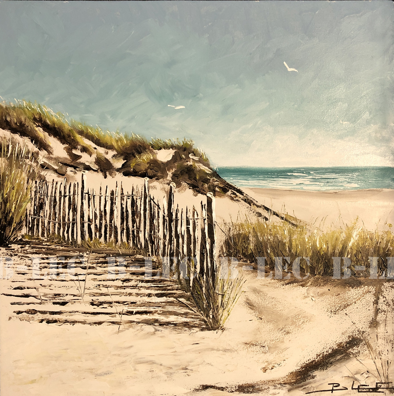 23002 dunes4 40x40