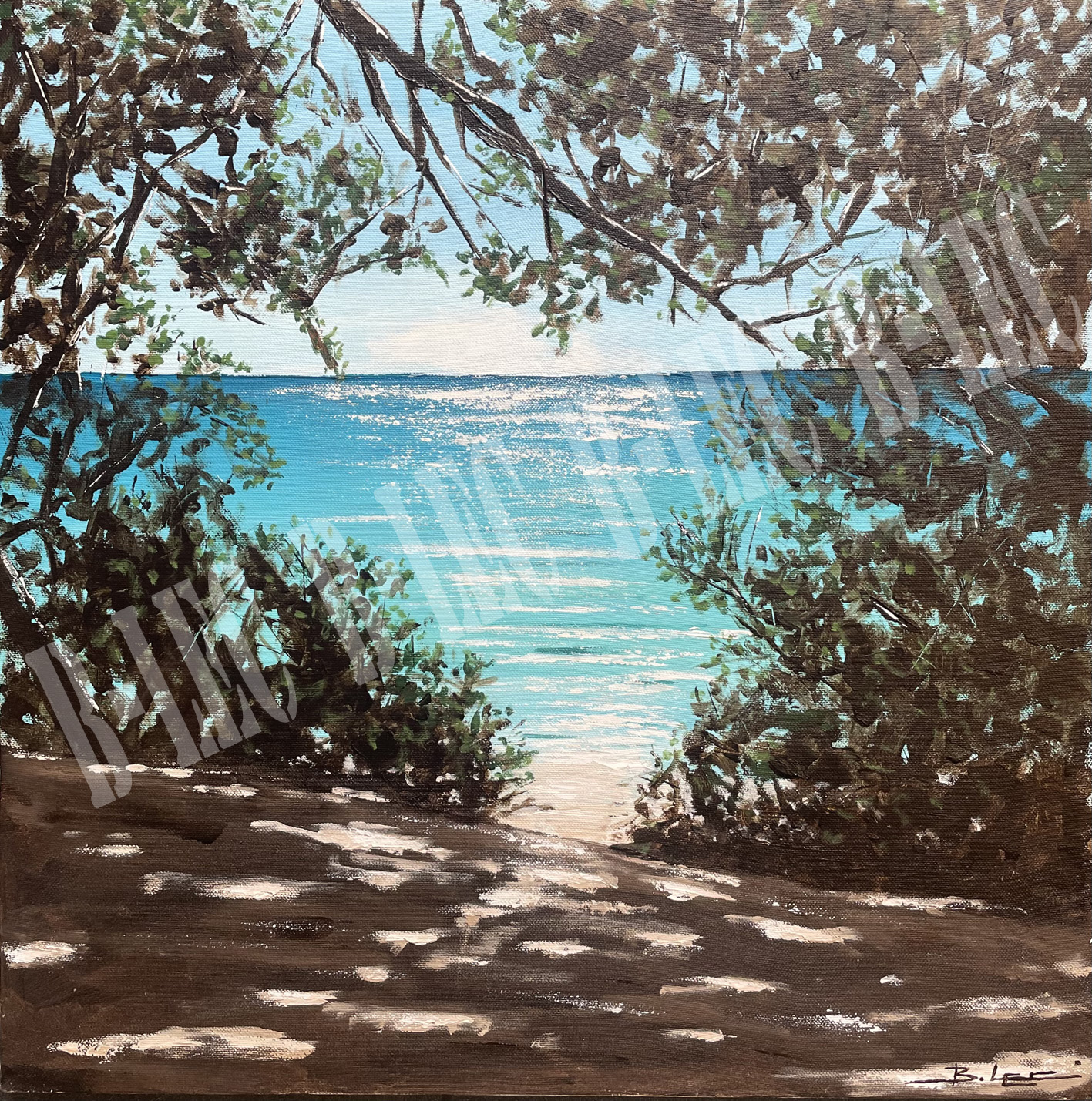 19112 25 50x50cm