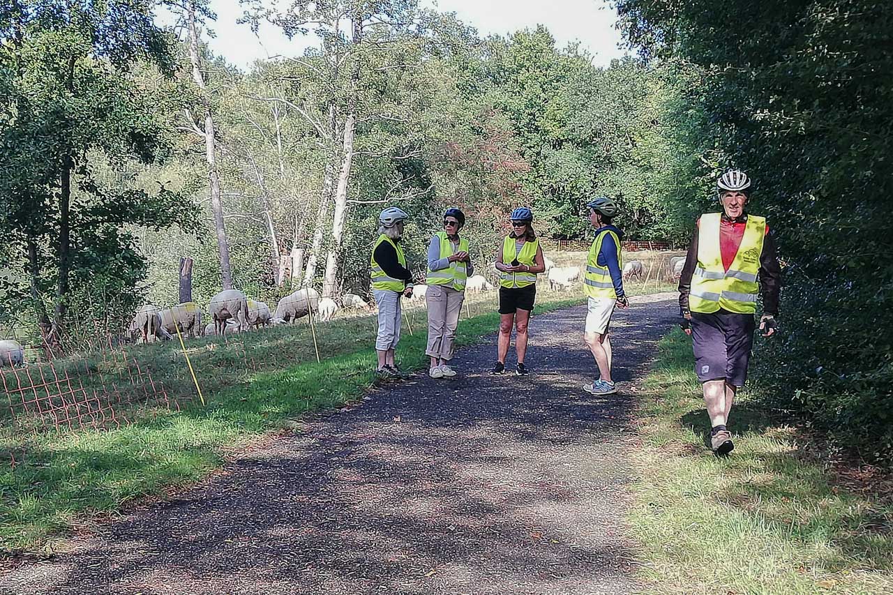 Img 20250910 154530 web