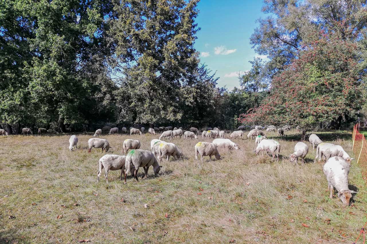 Img 20250910 154105 web